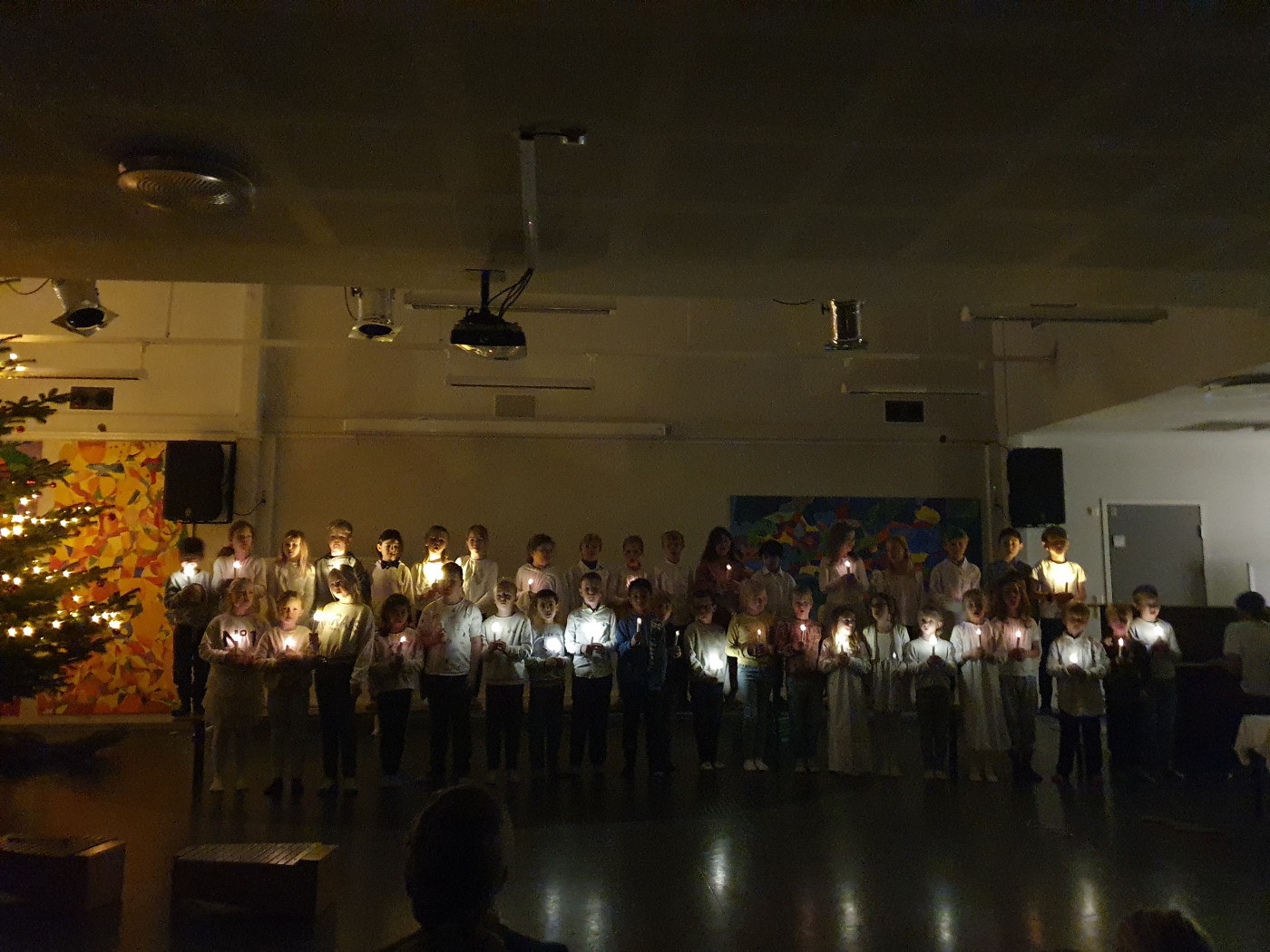 Lucia-feiring