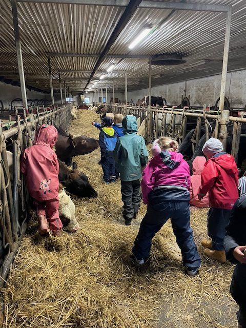 Gårdsbesøk for 1. trinn 🐮